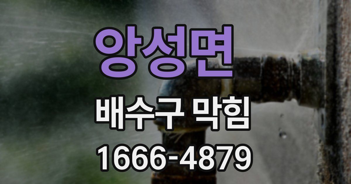 앙성면 배수구 막힘