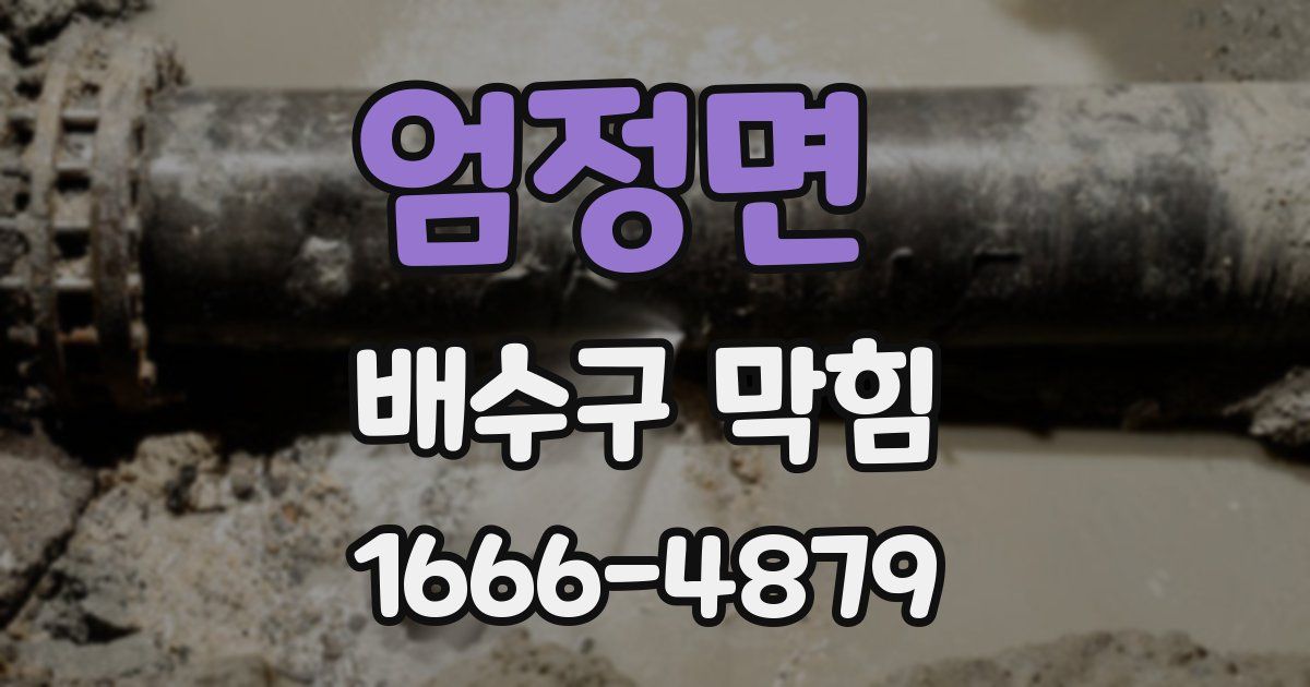 엄정면 배수구 막힘