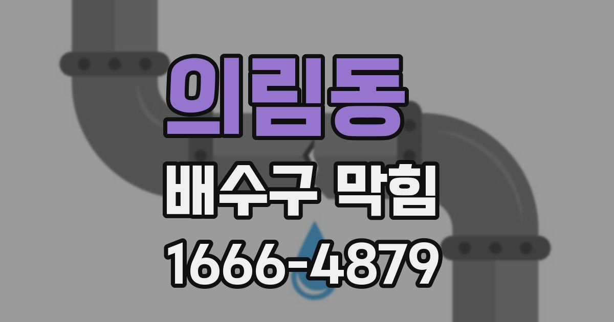 의림동 배수구 막힘