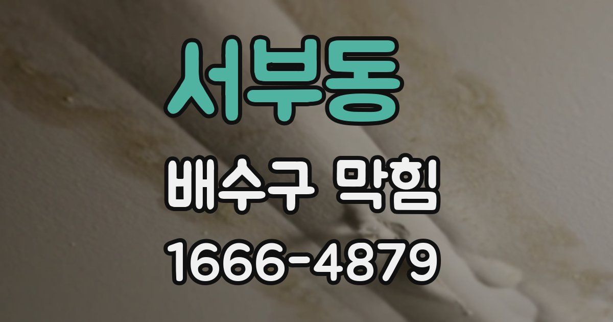 서부동 배수구 막힘