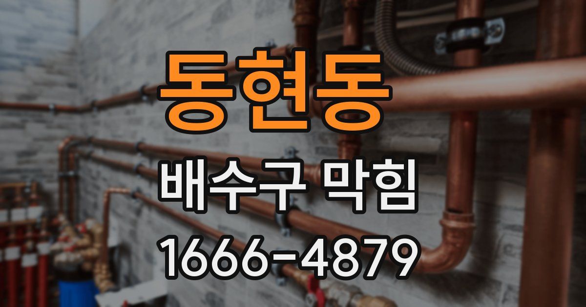 동현동 배수구 막힘