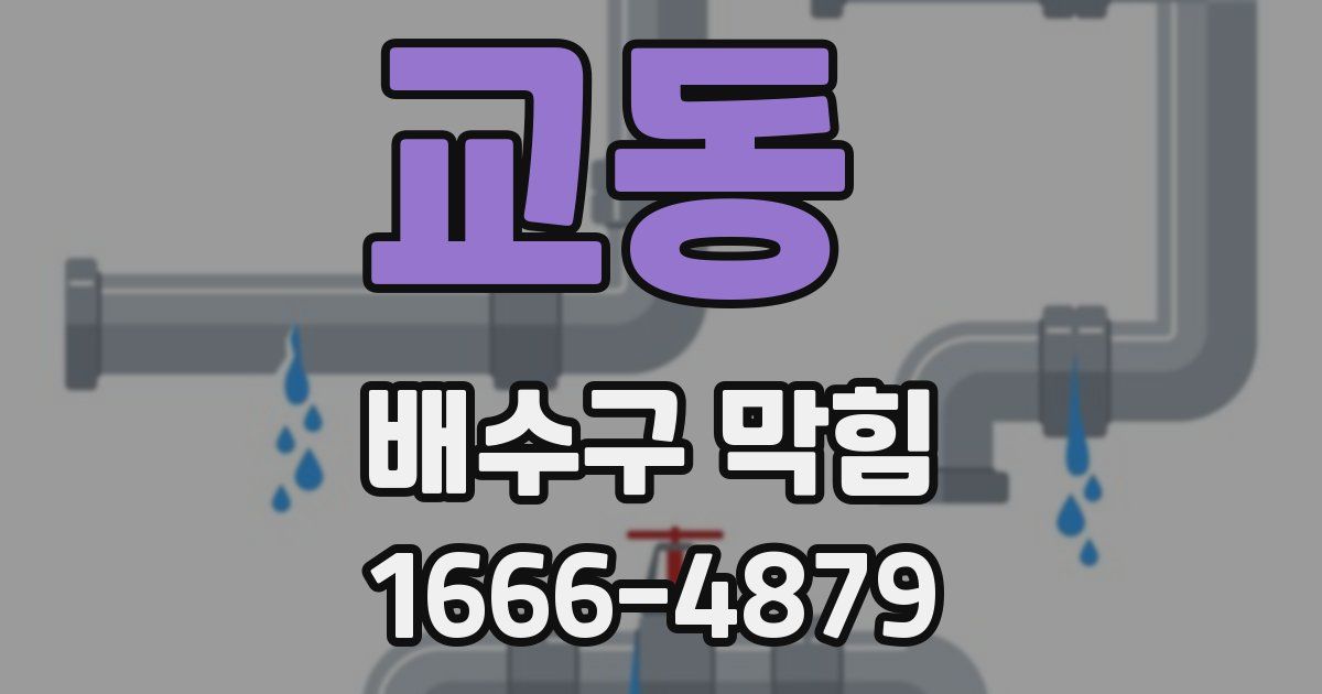 교동 배수구 막힘