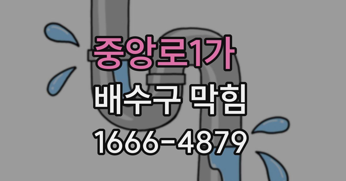 중앙로1가 배수구 막힘