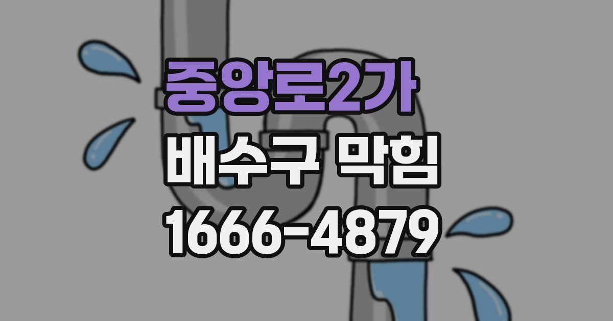 중앙로2가 배수구 막힘