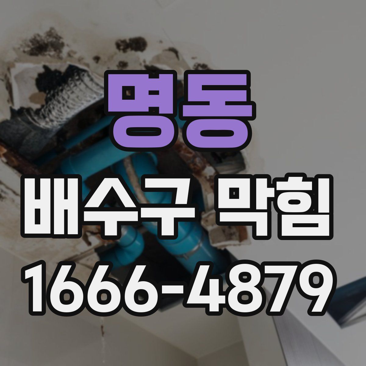 명동 배수구 막힘
