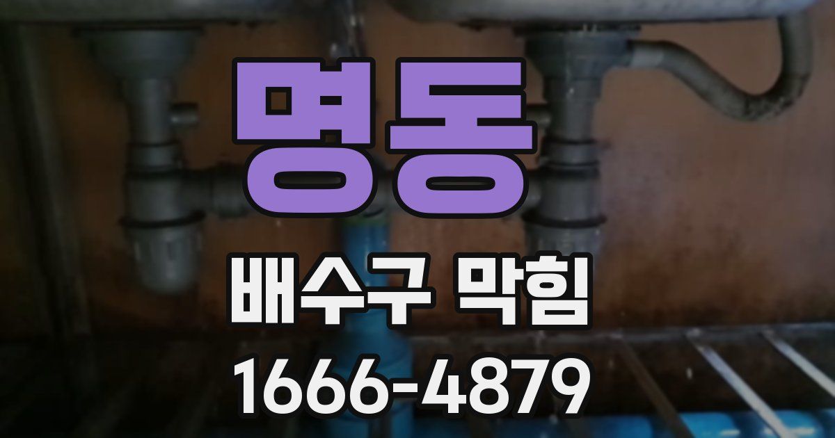 명동 배수구 막힘