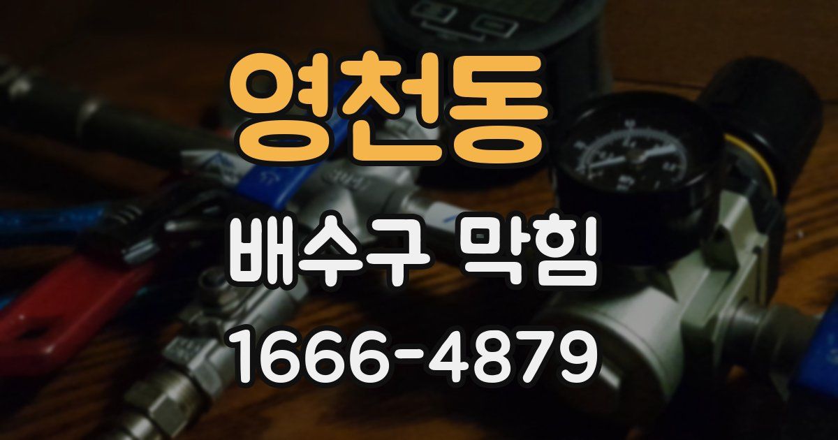 영천동 배수구 막힘