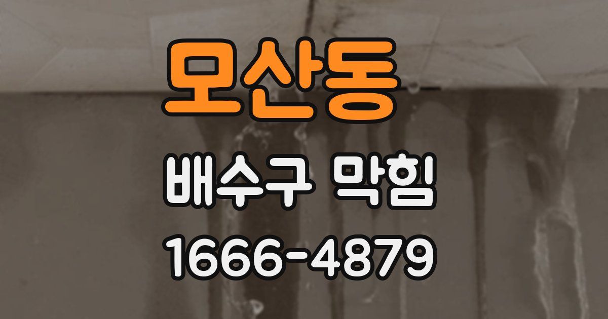 모산동 배수구 막힘