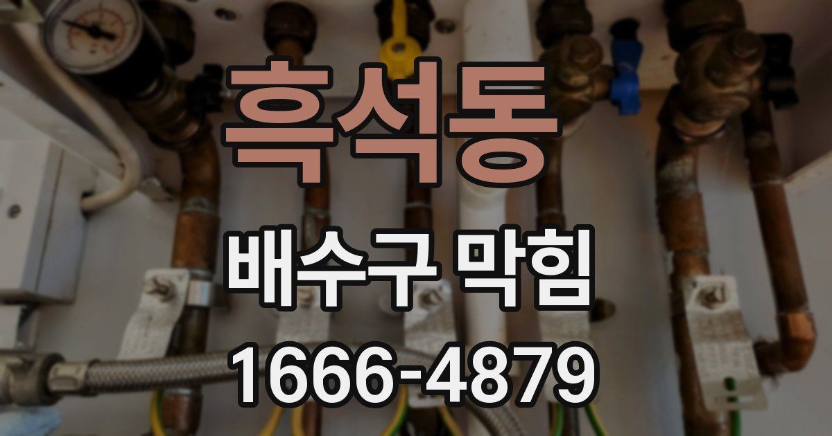 흑석동 배수구 막힘
