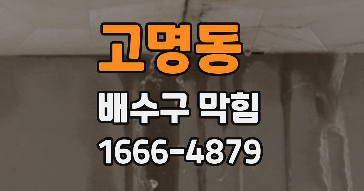 고명동 배수구 막힘