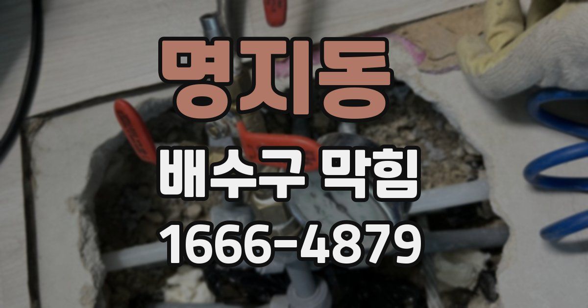 명지동 배수구 막힘