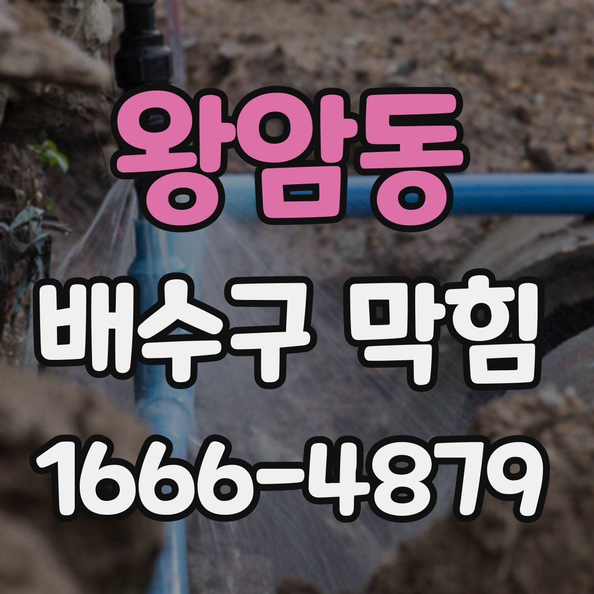 왕암동 배수구 막힘