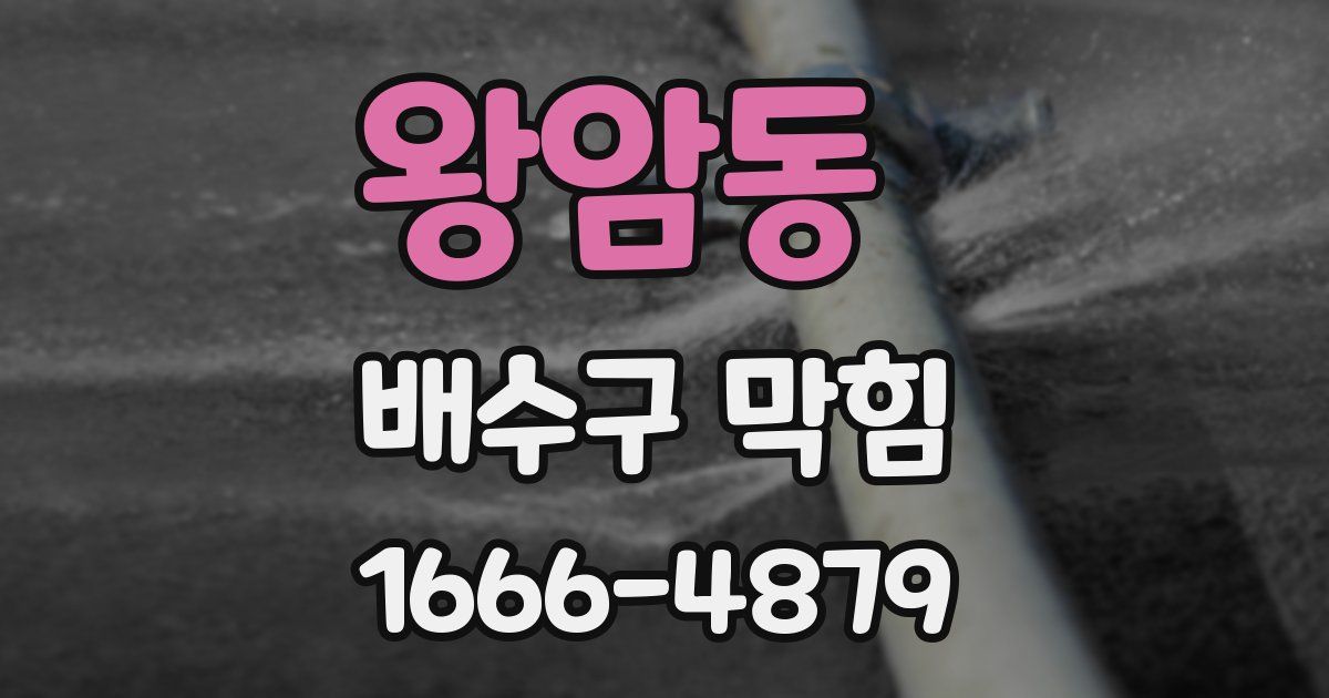 왕암동 배수구 막힘