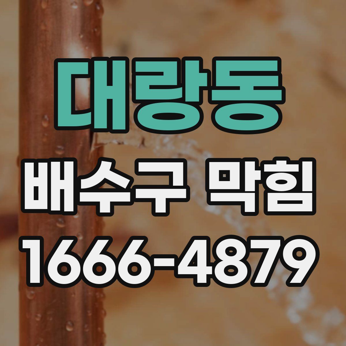 대랑동 배수구 막힘