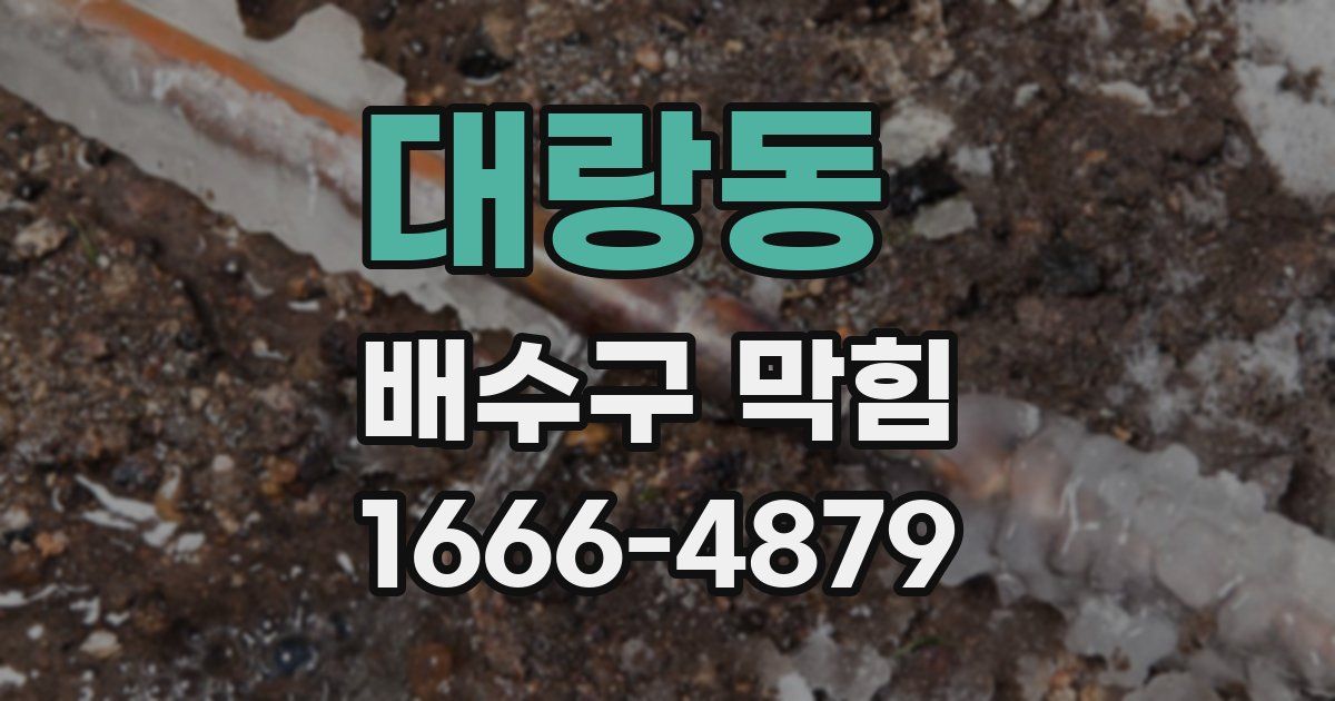 대랑동 배수구 막힘