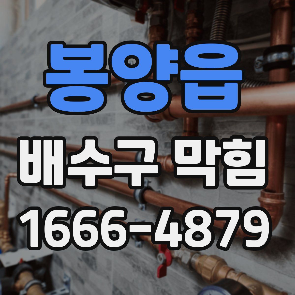 봉양읍 배수구 막힘