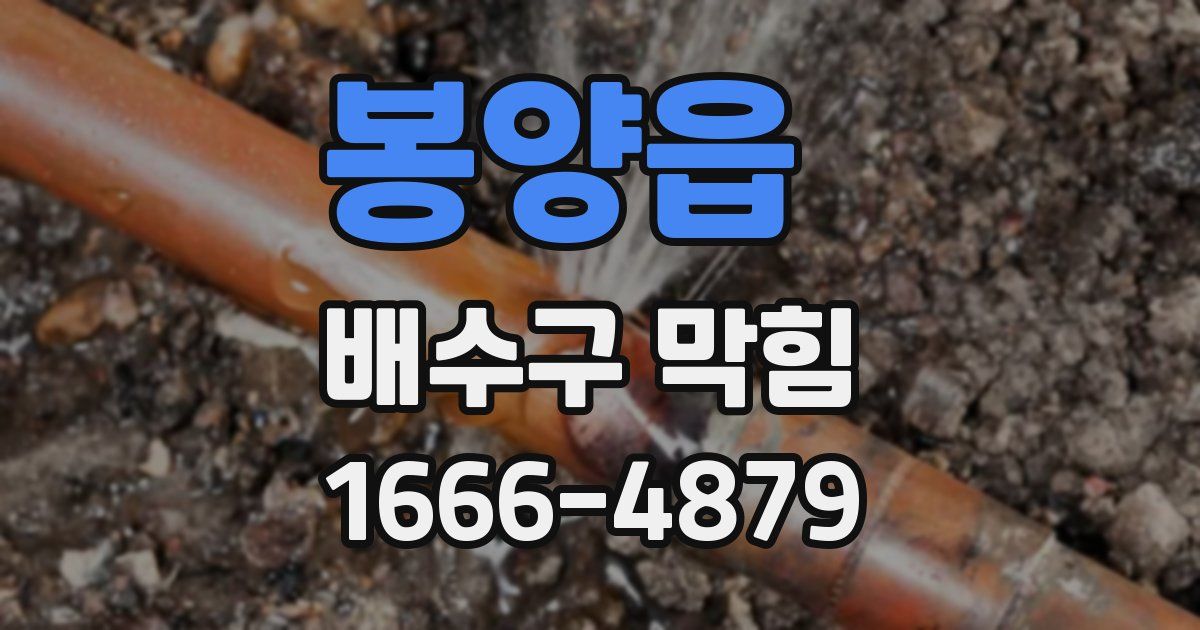 봉양읍 배수구 막힘