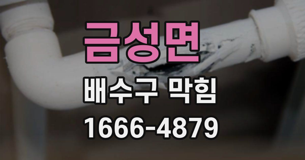 금성면 배수구 막힘