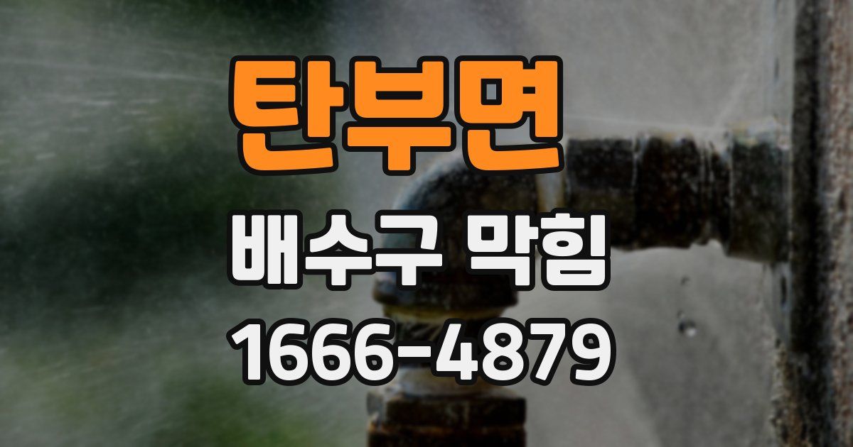 탄부면 배수구 막힘