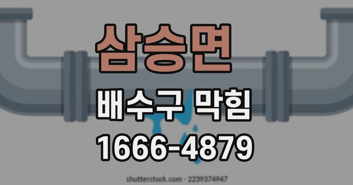 삼승면 배수구 막힘