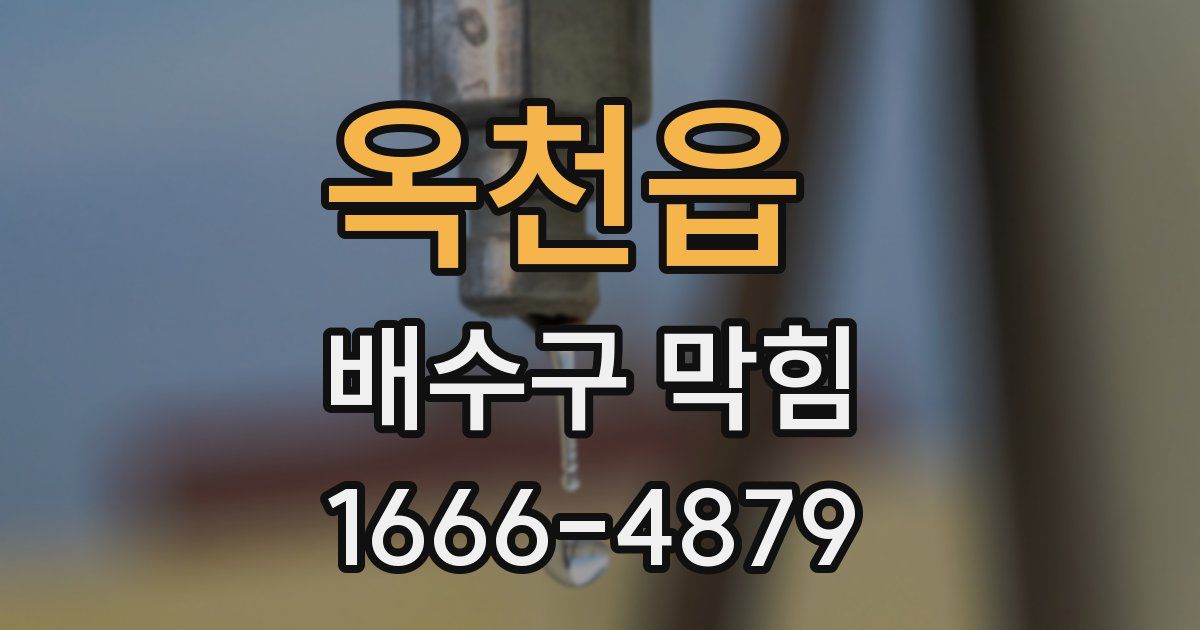 옥천읍 배수구 막힘