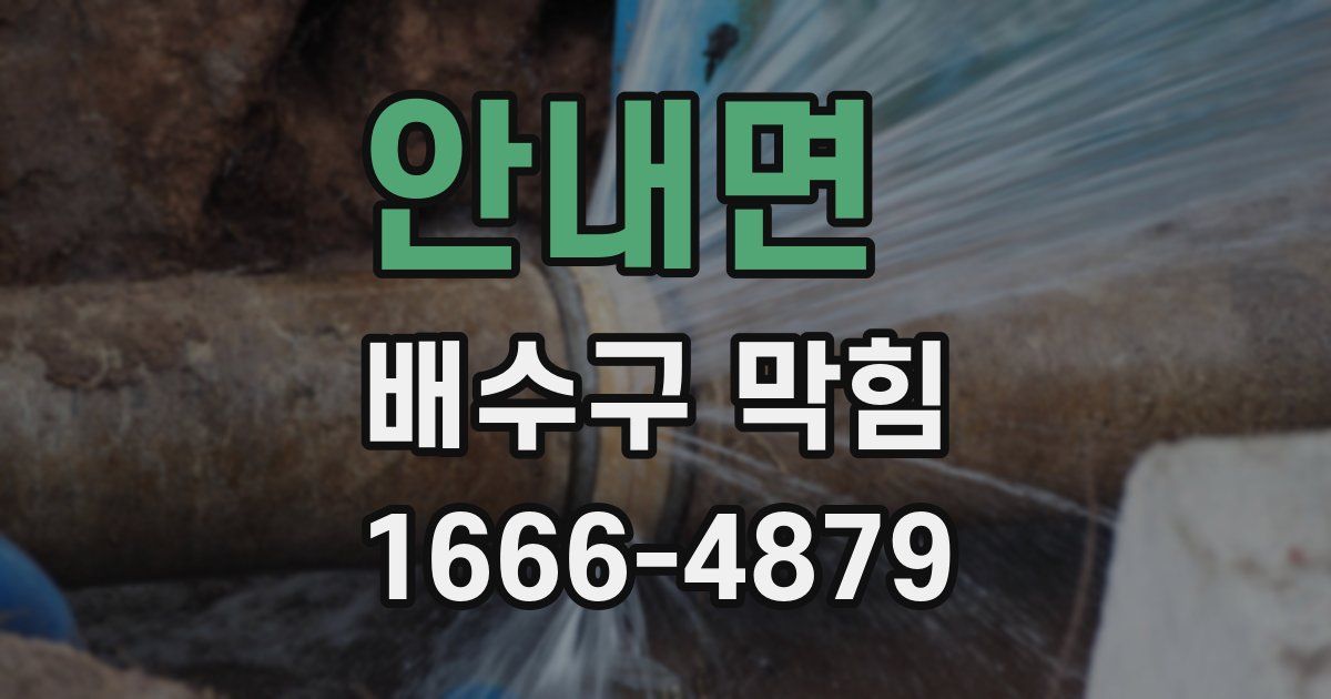 안내면 배수구 막힘