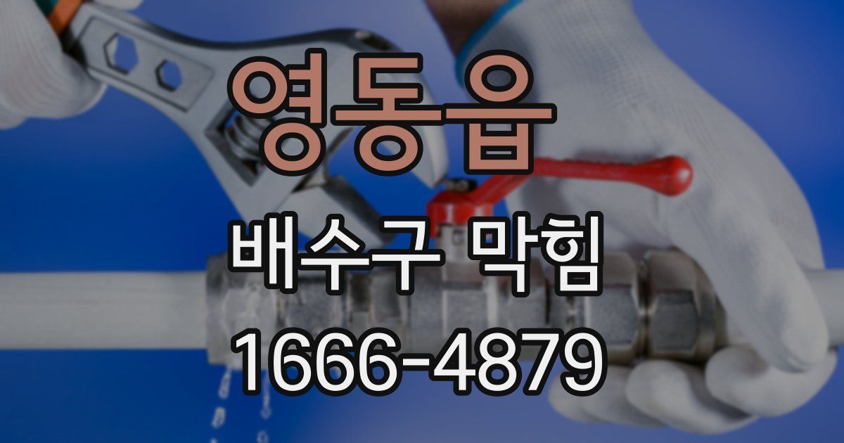 영동읍 배수구 막힘