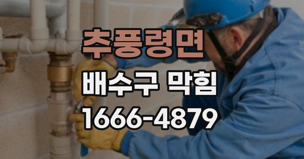 추풍령면 배수구 막힘