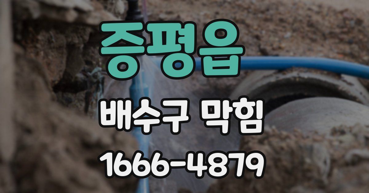 증평읍 배수구 막힘