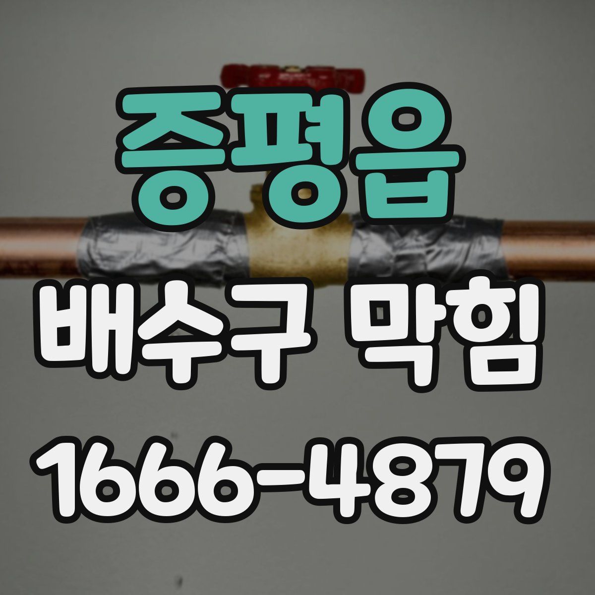 증평읍 배수구 막힘