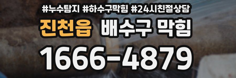 진천읍 배수구 막힘