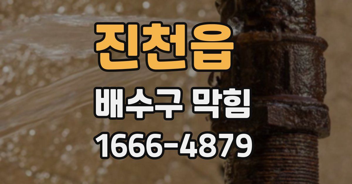 진천읍 배수구 막힘
