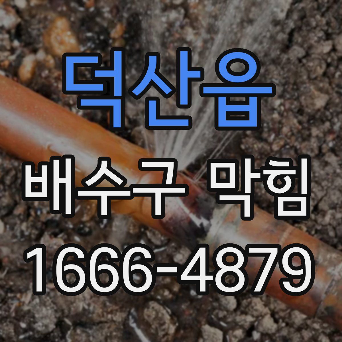 덕산읍 배수구 막힘