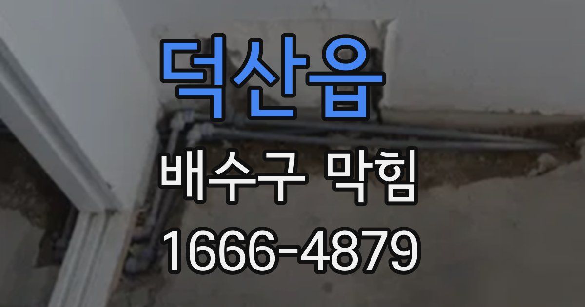 덕산읍 배수구 막힘