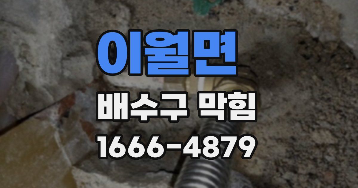 이월면 배수구 막힘