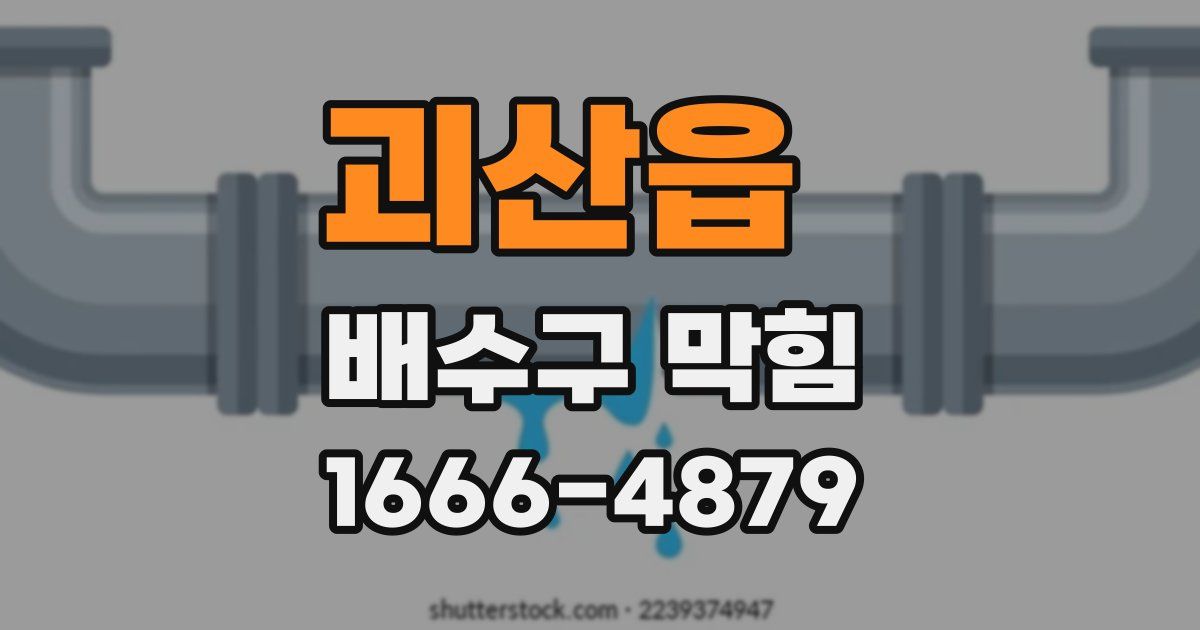 괴산읍 배수구 막힘