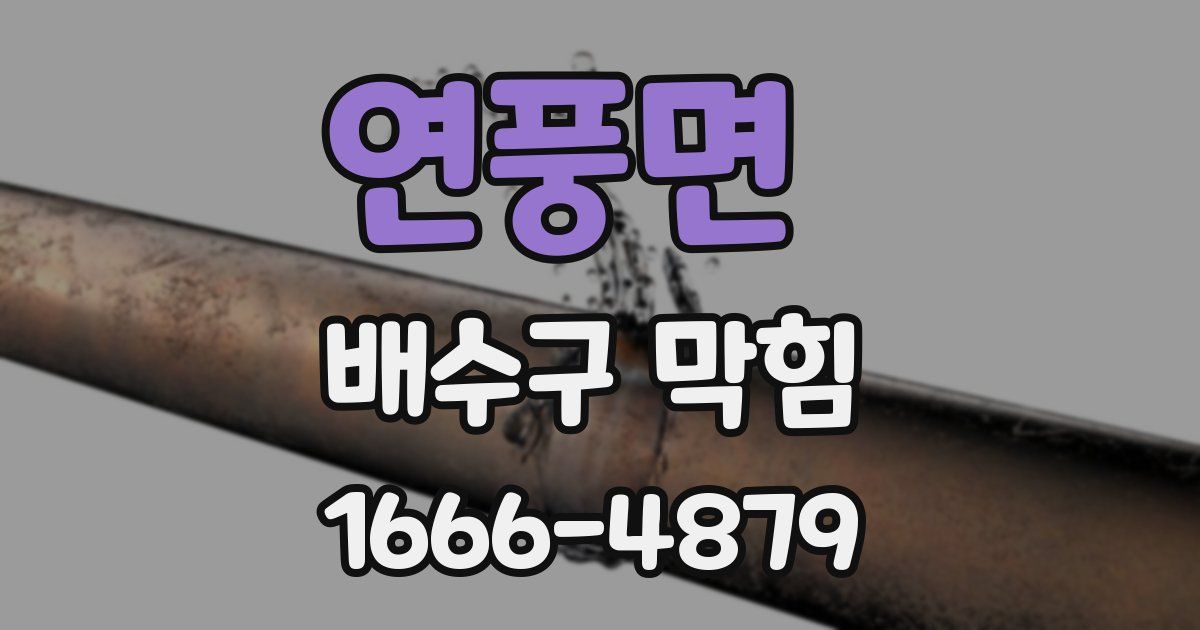 연풍면 배수구 막힘