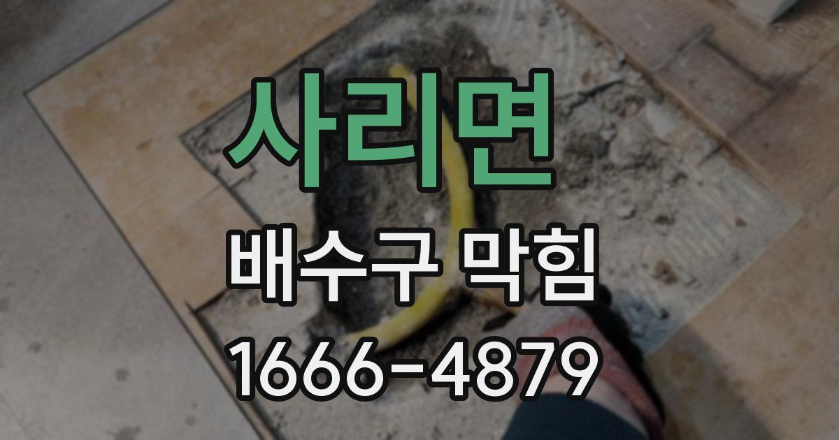 사리면 배수구 막힘