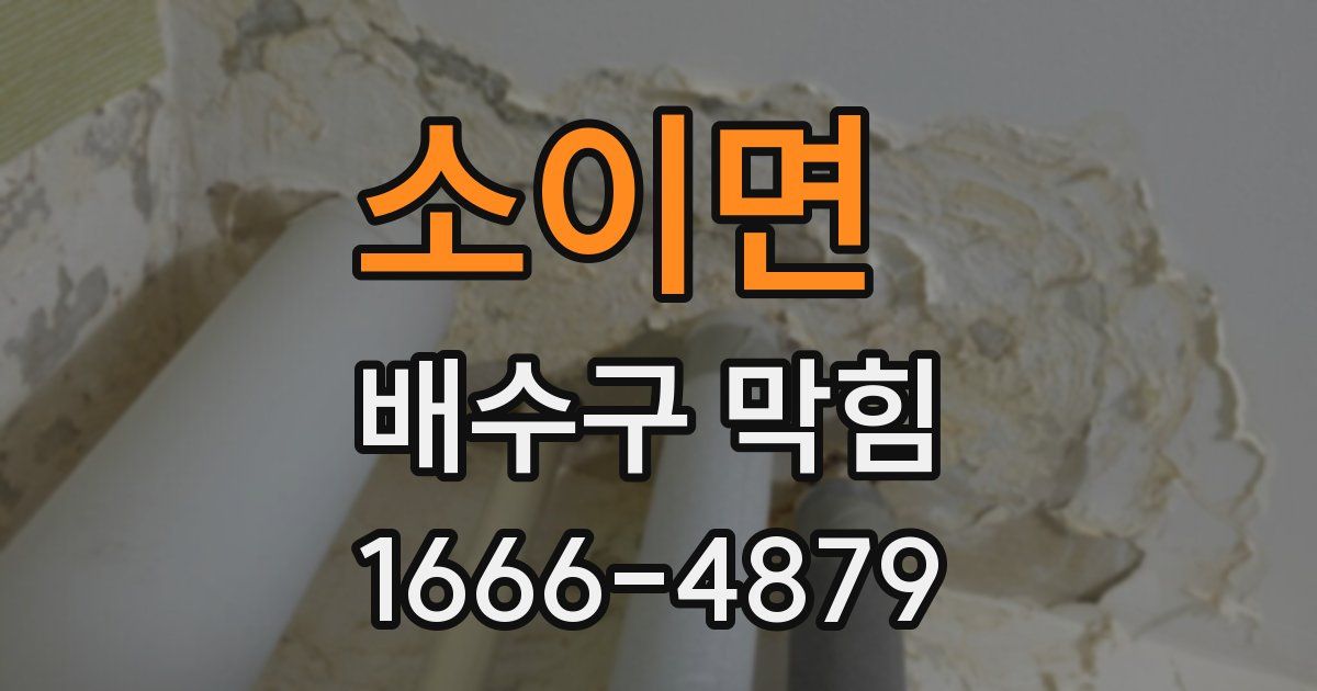 소이면 배수구 막힘
