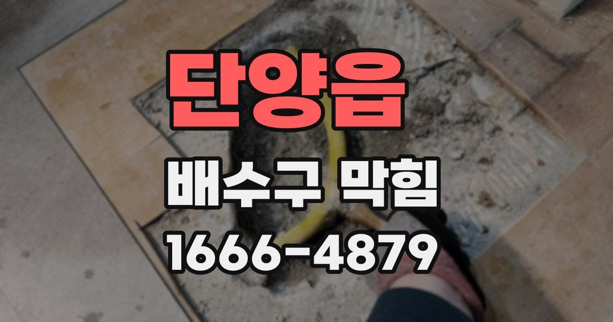 단양읍 배수구 막힘