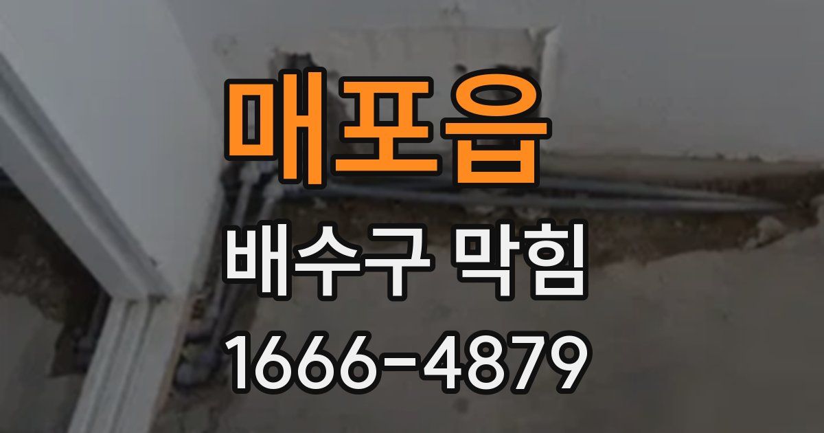 매포읍 배수구 막힘
