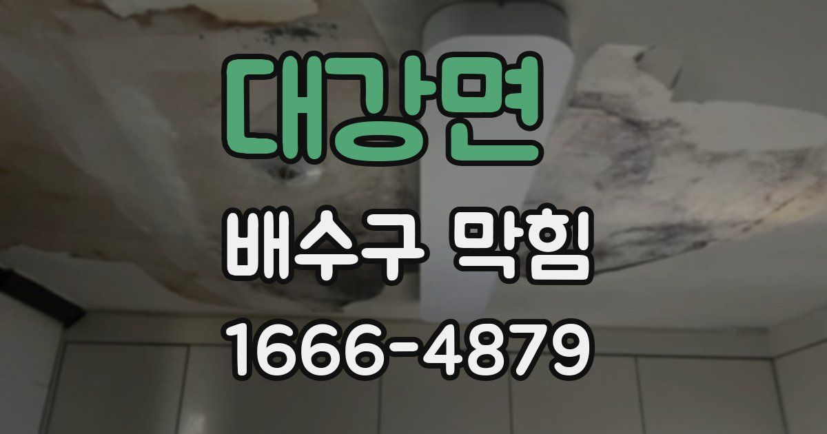 대강면 배수구 막힘