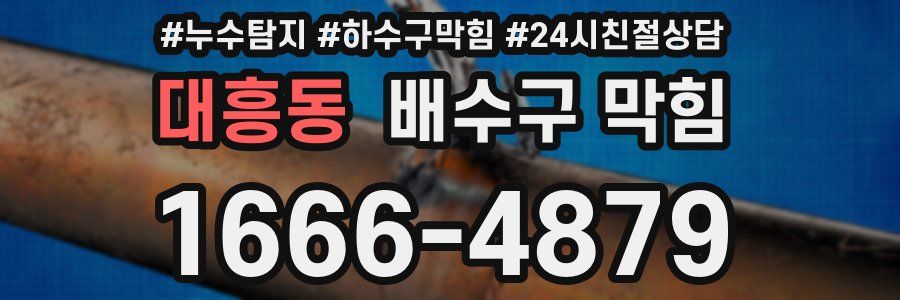 대흥동 배수구 막힘