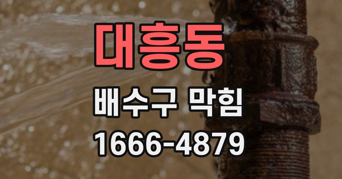 대흥동 배수구 막힘