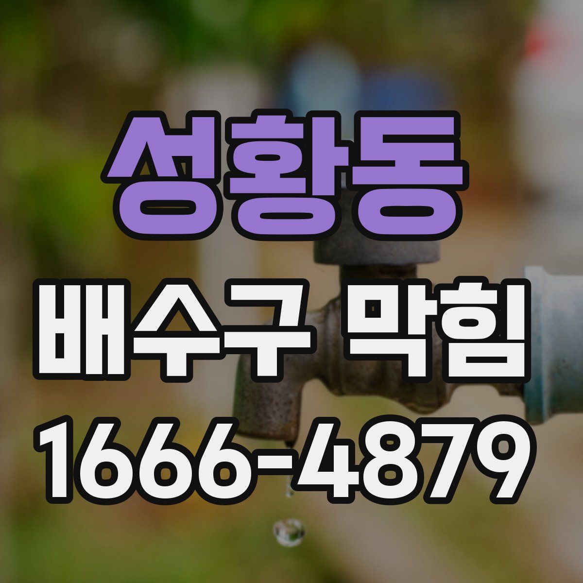 성황동 배수구 막힘