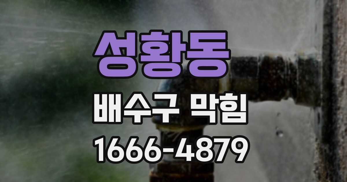 성황동 배수구 막힘