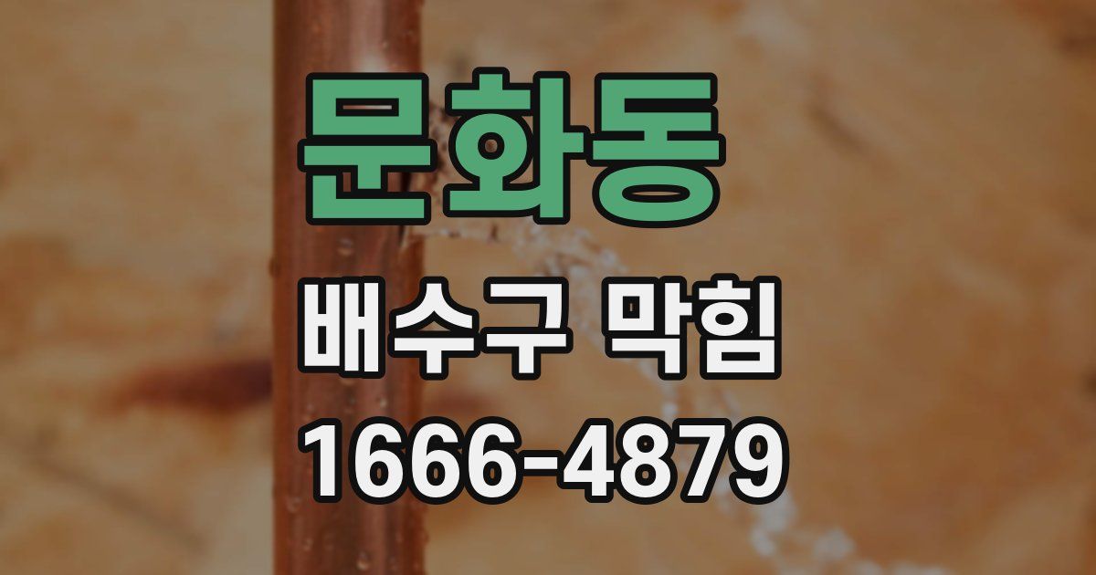 문화동 배수구 막힘