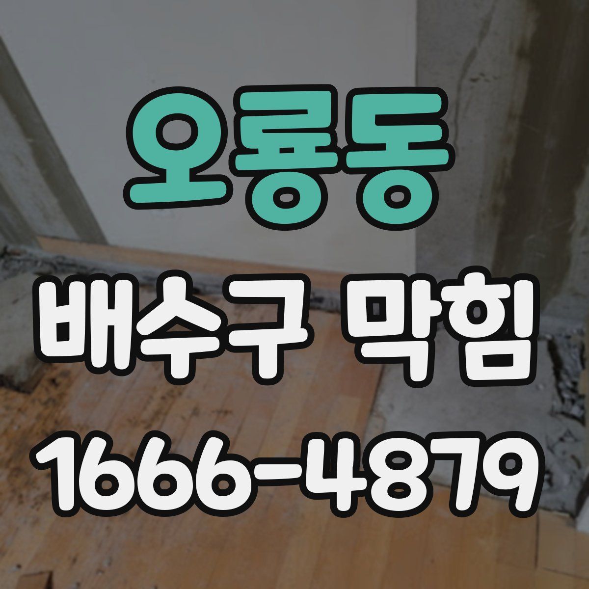 오룡동 배수구 막힘