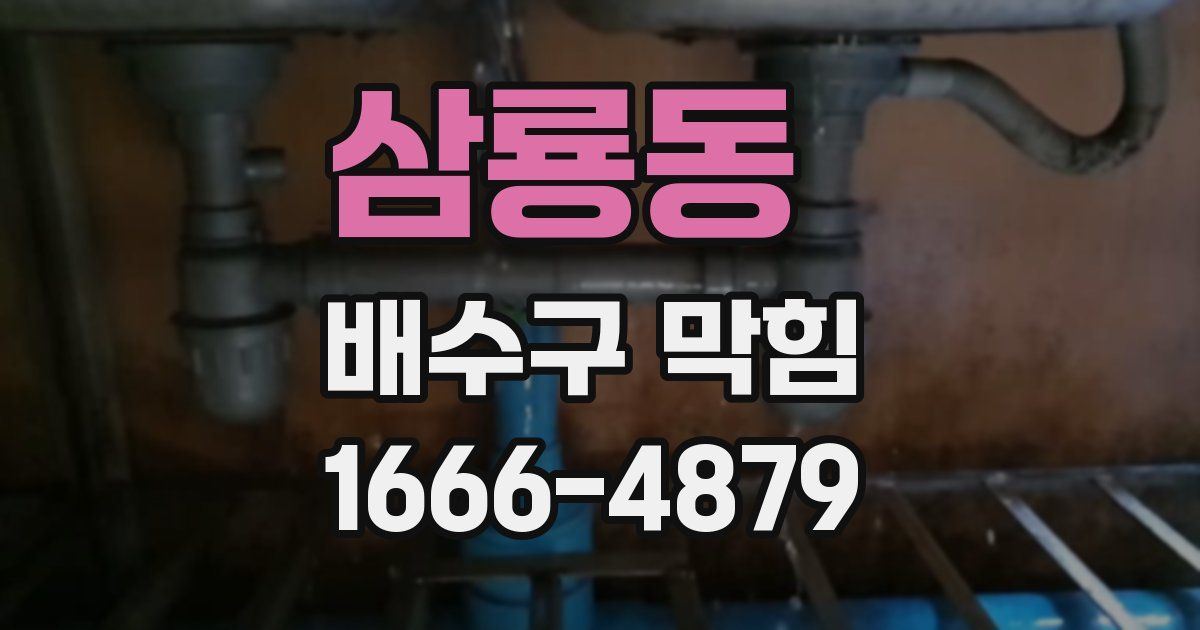 삼룡동 배수구 막힘
