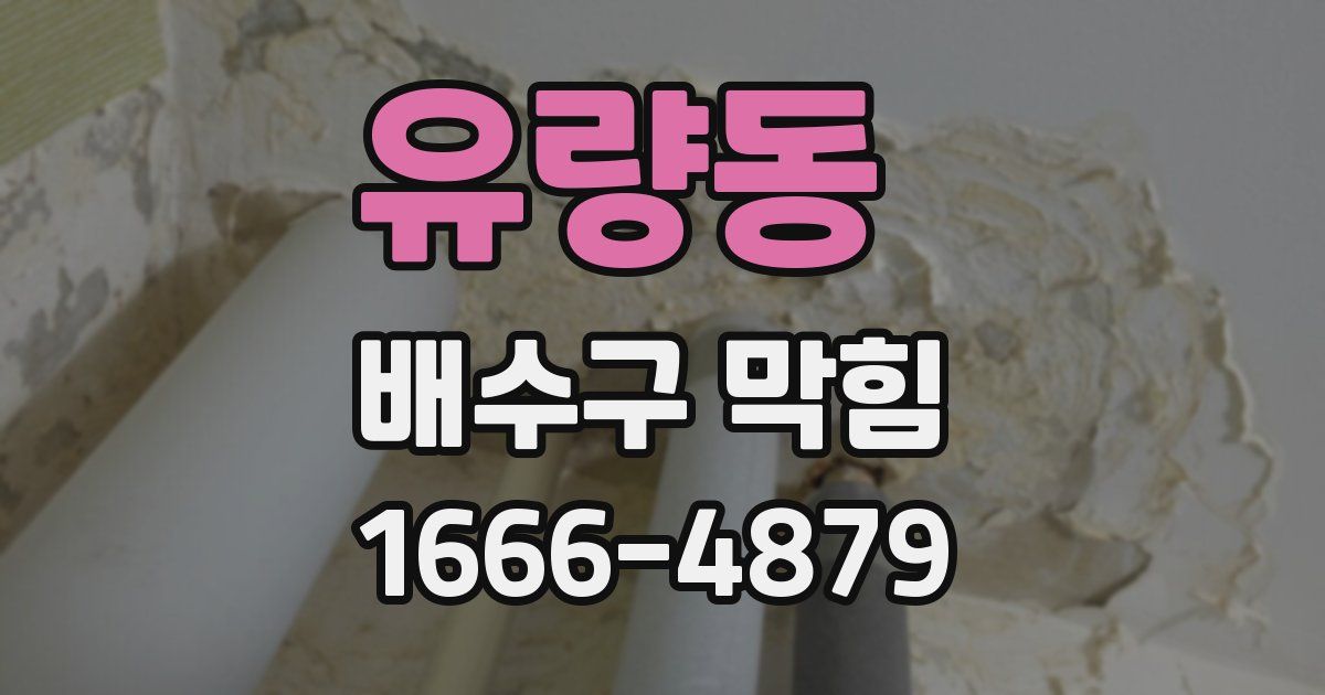 유량동 배수구 막힘